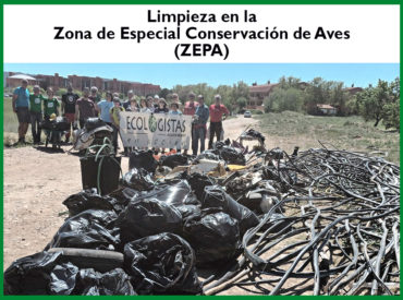 Limpieza de basuras en la Zona de Especial Protección de Aves (ZEPA)